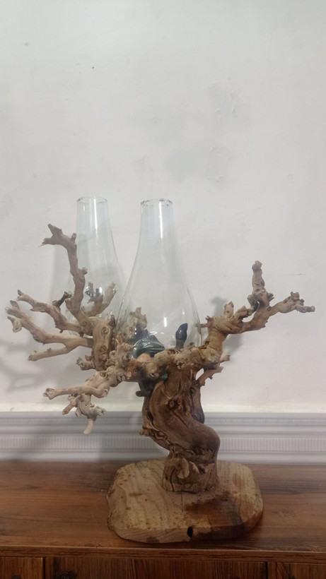 گلدان «ریشه» 🌳