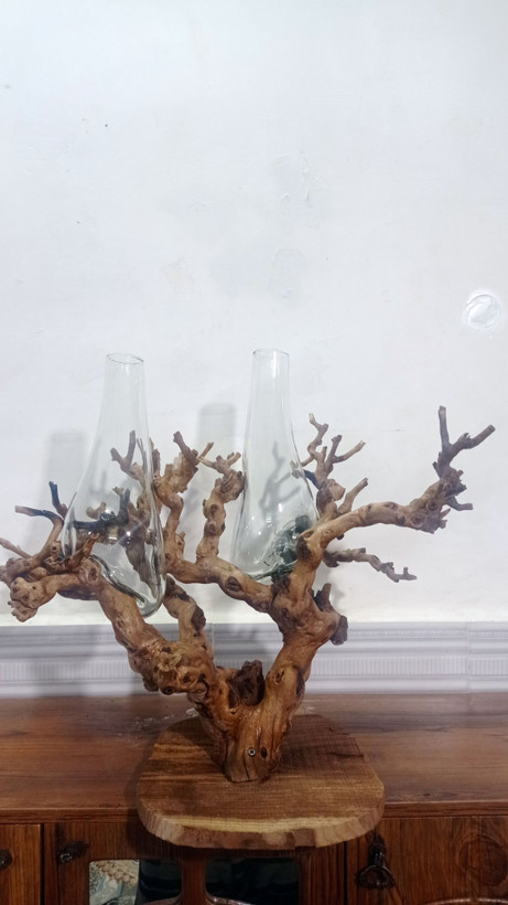 گلدان «ریشه» 🌳