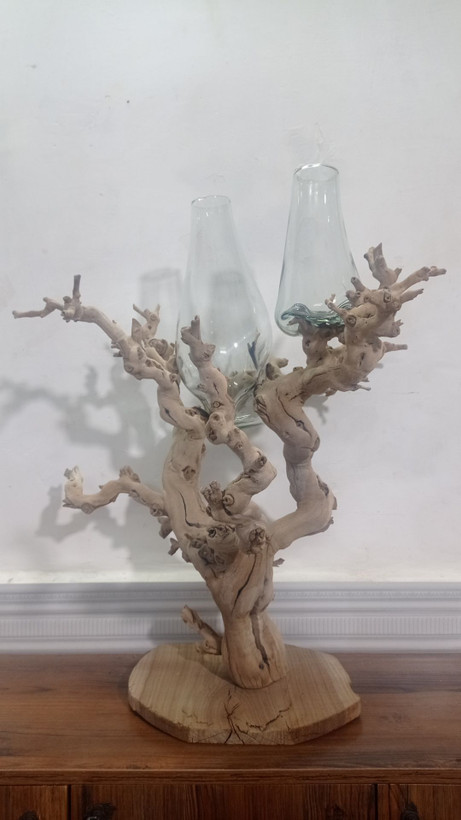 گلدان «ریشه» 🌳