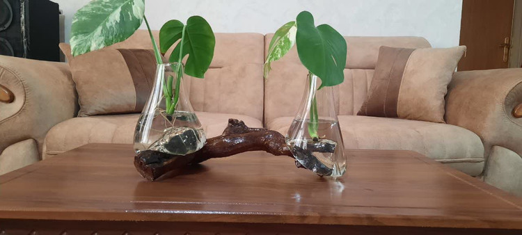 گلدان «جنگل کوچک» 🌿