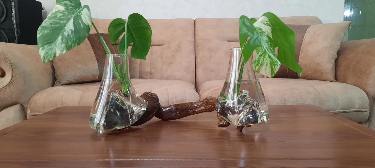 گلدان «جنگل کوچک» 🌿