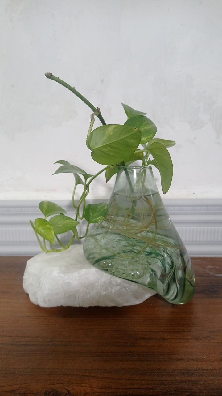 گلدان «جوانه» 🌱