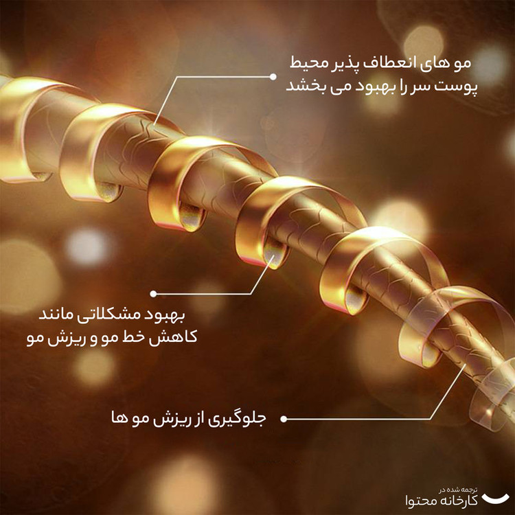 شامپو تقویتکننده و ضد ریزش مو بایو آکوا مدل رزماری با عصاره رزماری، زنجبیل و اسطوخودوس، کنترل چربی کف سر، نرمکننده و آبرسان، حجم 250 میلیلیتر، مناسب انواع مو