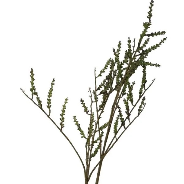شاخه مصنوعی تاماریکس