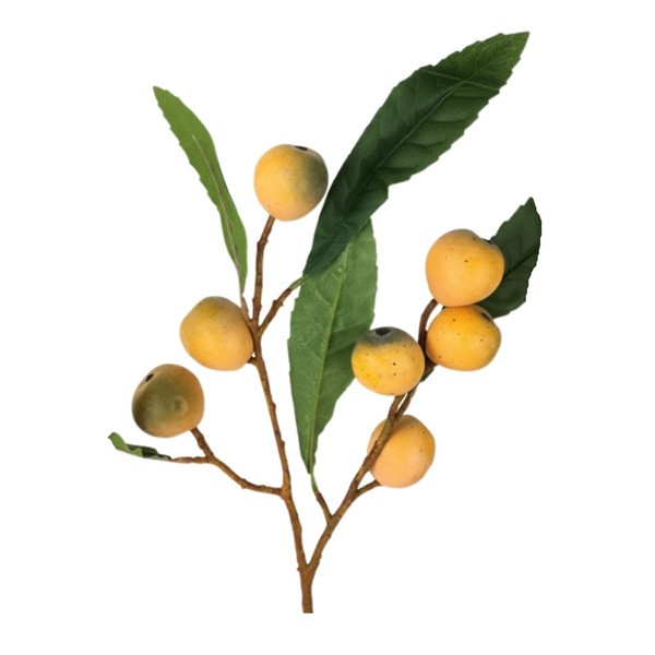 شاخه درخت گلابی وحشی مصنوعی