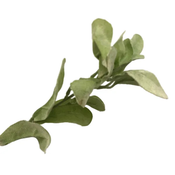 برگ موچه پودری مصنوعی