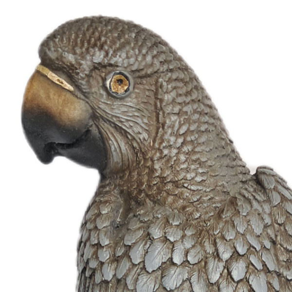 مجسمه دکوری طوطی مدل کاسکو دیواری