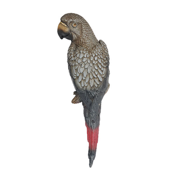 مجسمه دکوری طوطی مدل کاسکو دیواری