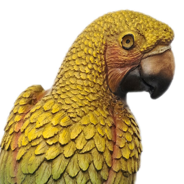 مجسمه دکوری طوطی سه رنگ دیواری