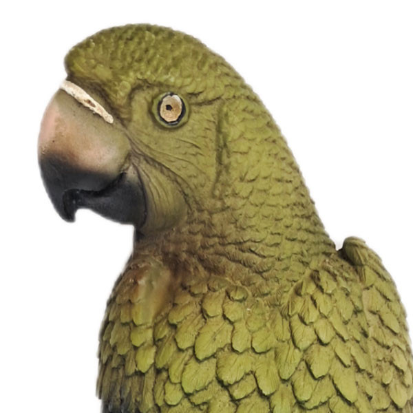 مجسمه دکوری طوطی سبز دیواری