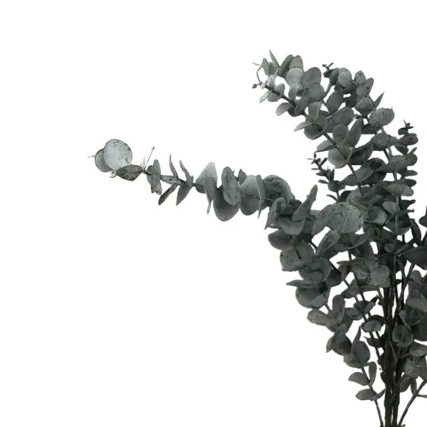 گیاه مصنوعی اوکالیپتوس کد 4