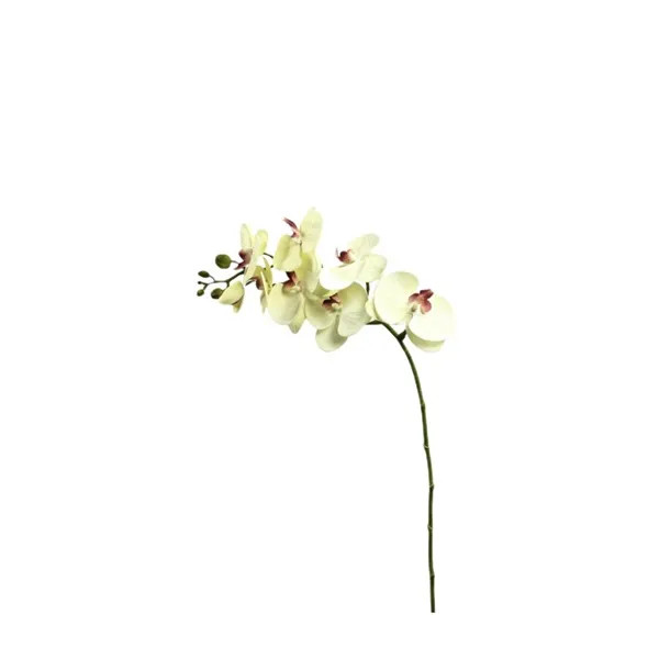گل مصنوعی ارکیده