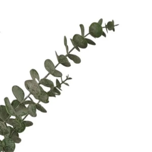 گیاه مصنوعی اوکالیپتوس کد 2